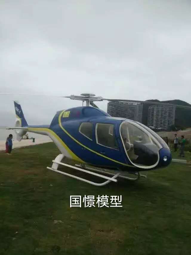 阳朔县飞机模型